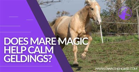 The Science of Mzre Magic: How it Works for Geldings